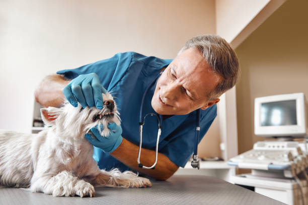 Best Pediatric Emergency Dentist in Castroville, TX